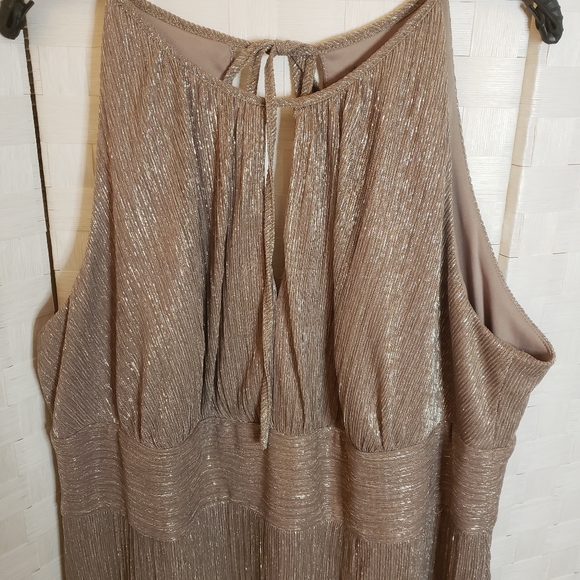 R&M Richard Shimmering Maxi gown. Sz 20W - Picture 3 of 4